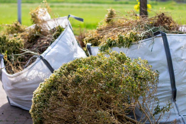 Best Furniture Removal Near Me  in Lake Wazeecha, WI