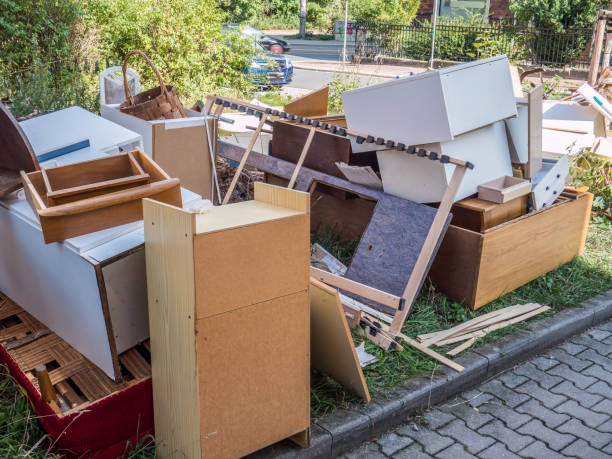Best Electronics Removal Services  in Lake Wazeecha, WI